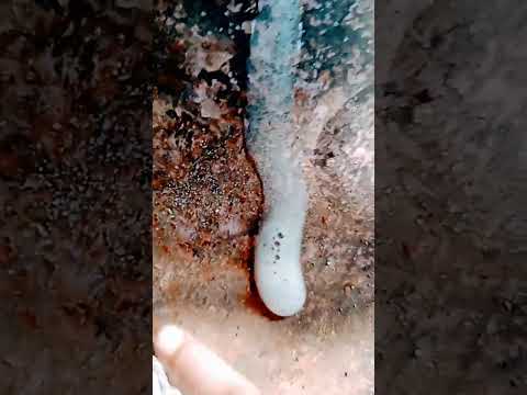 eno powder and 🏞️🏞️