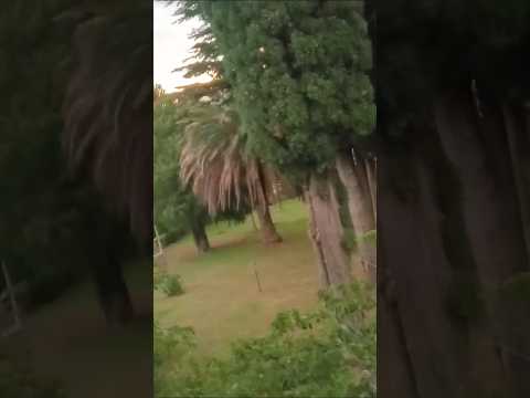 Los Cocos, Punilla, Córdoba, Argentina.#loscocos