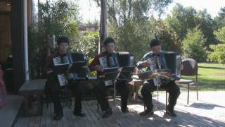 When You Say Nothing At All (Cover)