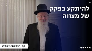 להיתקע בפקק של מצווה | הרב שמואל אליהו | הלכה יומית | י״ט שבט תשפ״ה (הרב שמואל אליהו) - התמונה מוצגת ישירות מתוך אתר האינטרנט יוטיוב. זכויות היוצרים בתמונה שייכות ליוצרה. קישור קרדיט למקור התוכן נמצא בתוך דף הסרטון