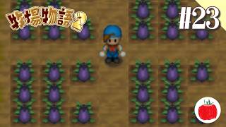【実況】牧場物語2を初見で遊ぶいも【#23】
