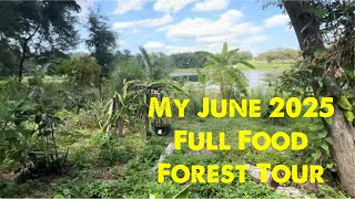 My June 2025 Full Food Forest Tour