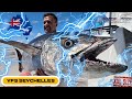 Jigging And Popping For GT And Dogtooth Tunas Catamaran Fishing Trip Seychelles YFS