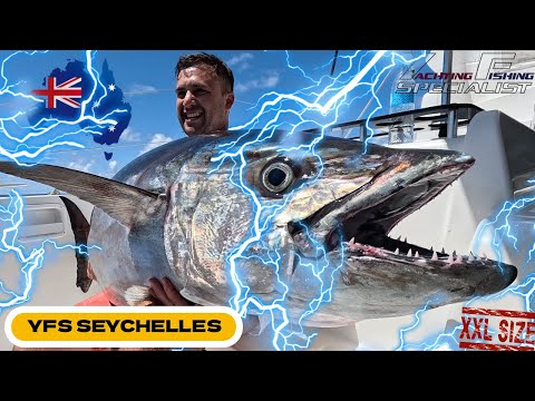 YFS Video