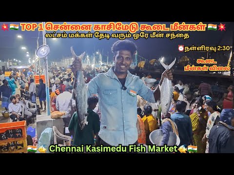 💥🐠 Midnight Kasimedu fish market | Kasimedu fish | Fish | Chennai #biggestfishmarket #viralvideos