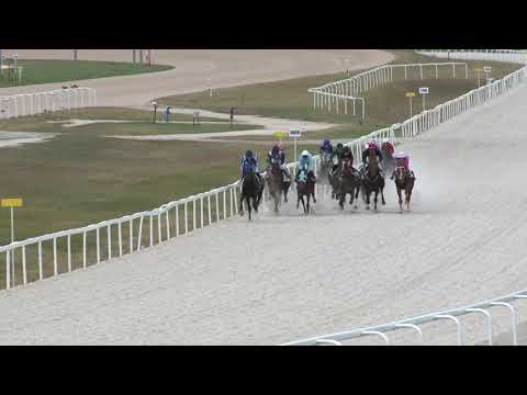 2018.10.28. 02. futam - KEDVESI JÓZSEF EMLÉKVERSENY HENDIKEP (V/b.) (szintetikus pálya)