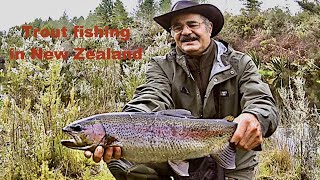 Download Lagu Trout Fishing Flaxy Lake u0026 Rangitaiki River in NZ, Ep 186 Thumbnail
