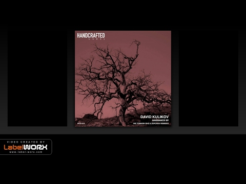 David Kulikov - Seal (Original Mix)