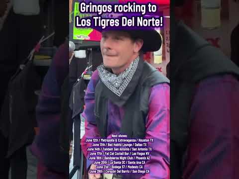Los Pink Cheese Green Goes rocking to a punk version of “La Puerta Negra” by Los Tigres Del Norte