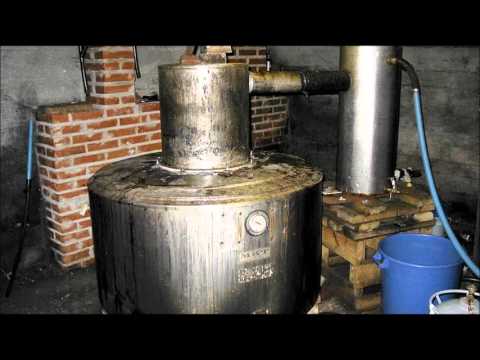 Vilperin Perikunta - Kännissä kaikki on kuninkaita