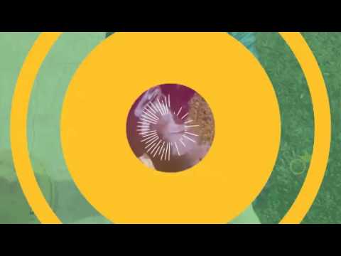 Pasqua2016  il  Mio Prince