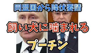 同盟国から降伏要請。飼い犬に噛まれるプーチン。#政治 #国際情勢 #プーチン #カザフスタン 