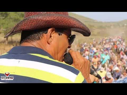 TOADA DA VACA CHUVISCO DE AQUIDABÃ 💥🌵
