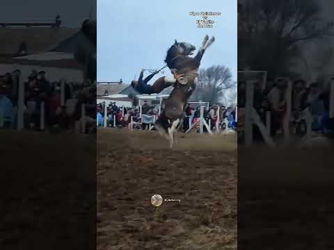 Gineteada gaúcha, temos gaúcho vendo?Segue, comenta e compartilha #curte #viralvideo #cavalo #ginete