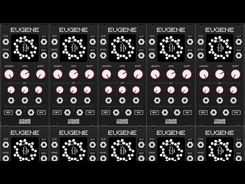 Instant Rhythms: Eugene by RareBreeds