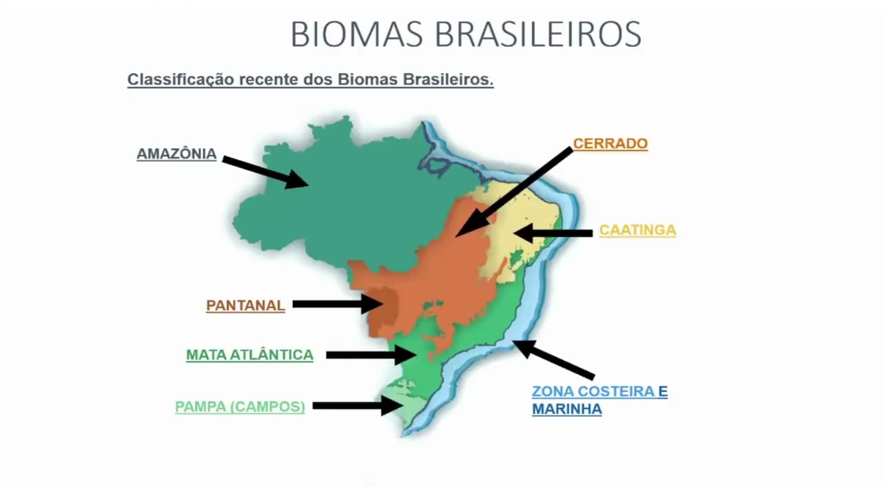 7º ano do Ensino Fundamental e  EJA - Educação de Jovens e Adultos - aula 5.