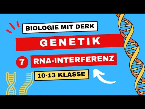 Bio Abi | Genetik | 7 | RNA-Interferenz