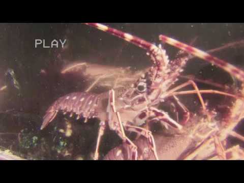 E5. SESIMBRA // SECRET BEACH