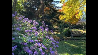 Last Garden Tour 2025