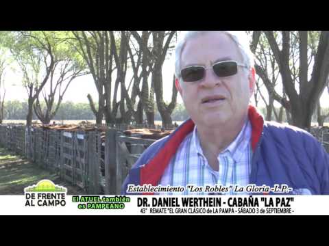 DE FRENTE AL CAMPO junto a CABAÑA "LA PAZ" -DANIEL WERTHEIN-.