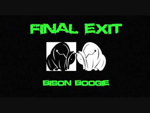Chris D's Final Exit - Bison Boogie