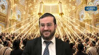 במדבר - אין עוד כמוך בעולם!! אתה חשוב מאוד!! | מפקד אוכלסין נוסף לפני חג "מתן תורה" | רבי דוד בכר