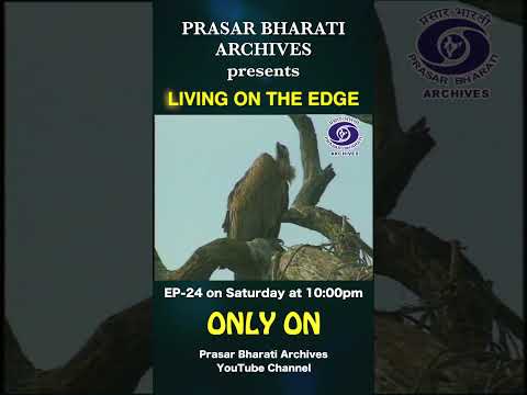 Keoladeo National Park, Work Environment & Birds | Living on the Edge | Ep. 24
