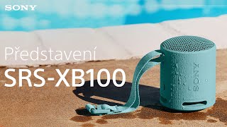 Sony SRS-XB100