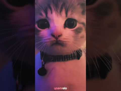 I want subro gaming to comment this video