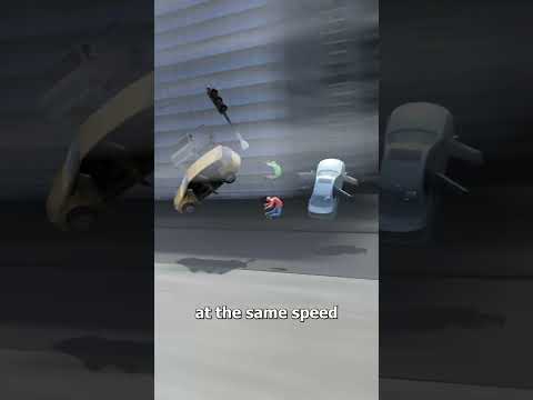 What If The Earth Stopped Rotating? 🤔