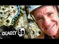 Rock Climbing For Snakes Deadly 60 BBC Earth Kids