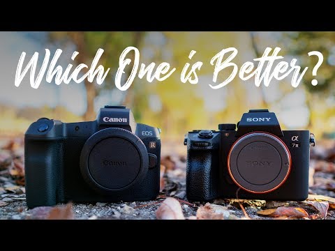 Canon EOS R vs Sony a7III - QUICKEST COMPARISON EVER!!