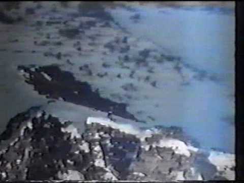 nido del cuculo viva la potta il meglio