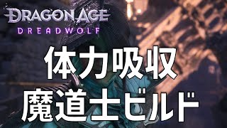 対ボス戦でド安定！体力吸収魔道士ビルド【ドラゴンエイジ: ヴェイルの守護者】