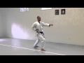 Soto Uke, Gyaku Zuki (back) | IKD Testing Syllabus videos | Shotokan Karate 2013