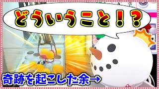 【事故?】たこ焼き台で「奇跡」を起こし大爆笑するお嬢w【ホロライブ/切り抜き】