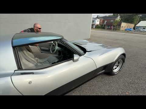 1981 Chevrolet Corvette (CC-2006015) for sale in Pittsburgh, Pennsylvania