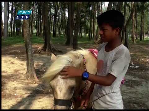কক্সবাজার সৈকতে পর্যটকদের বিনোদন দেয়া ঘোড়াগুলোর খাদ্য সংকট কাটেনি