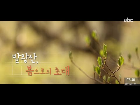 2020/07/19 테마스페셜 발왕산, 봄으로의 초대