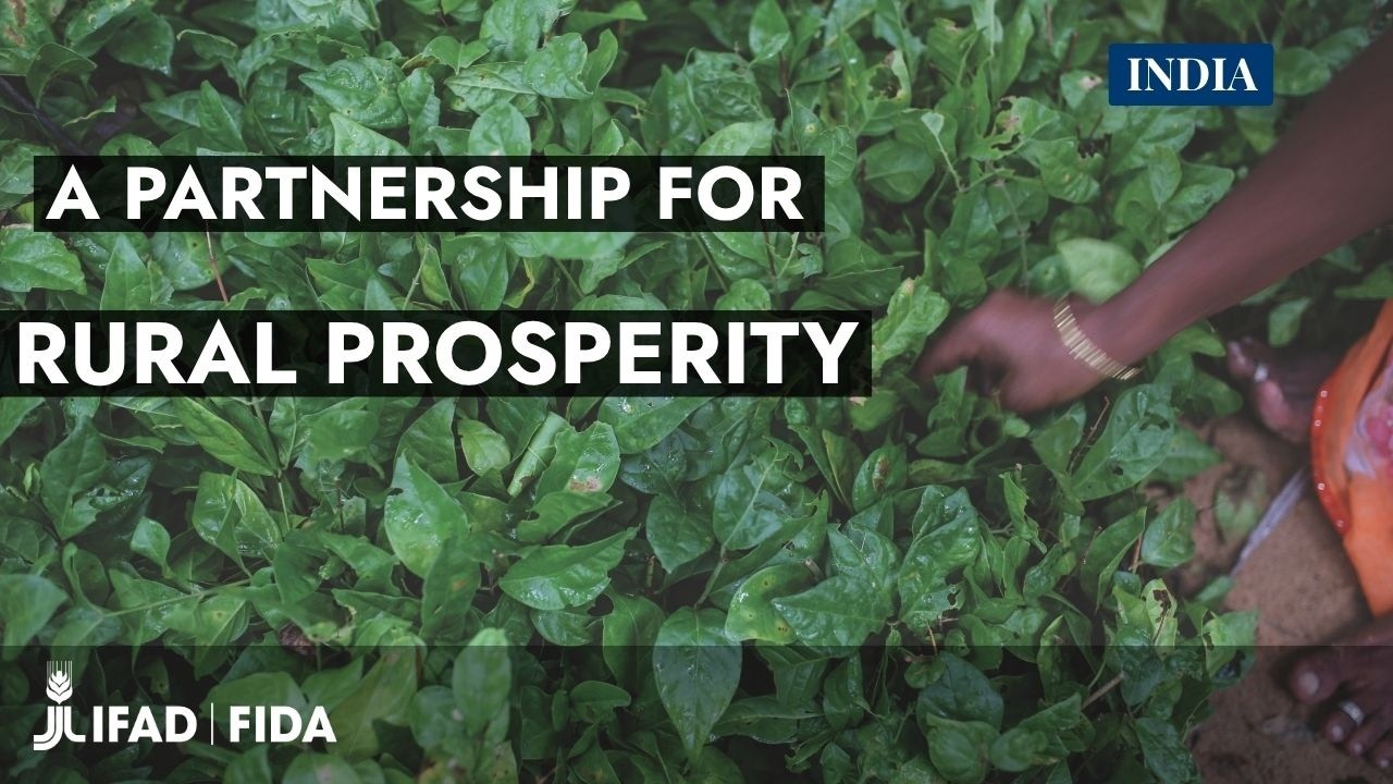 IFAD-India Partnership for Rural Prosperity