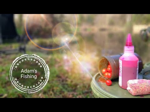 Carp Fishing with Goo and the Ronnie Rig