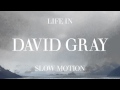 David Gray - "Disappearing World"