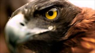 Schiller - Nachtflug - Nightflight