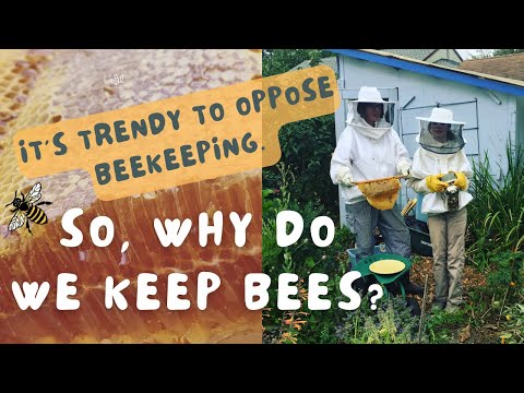 You Asked, I Answered: It’s Trendy To Be Critical of Beekeeping.  So Why Do We Keep Bees?