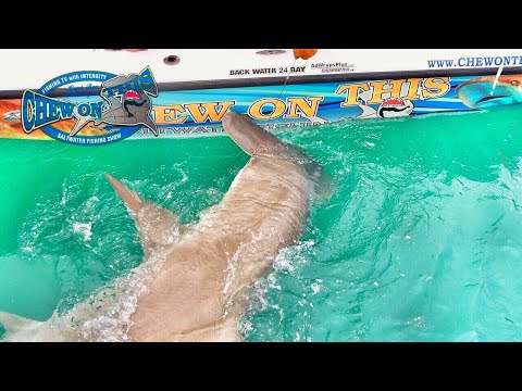 Top 10 Fishing Incredible Big Fish Compilation Video  + Shark Grouper # Cool Catches