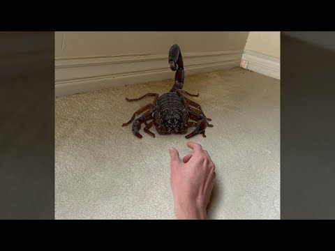 NON avrei dovuto toccare questo BUG...