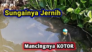 Download lagu MANCING CARA KOTOR di Sungai seperti AQUARIUM mp3 Download lagu MANCING CARA KOTOR di Sungai seperti AQUARIUM mp3