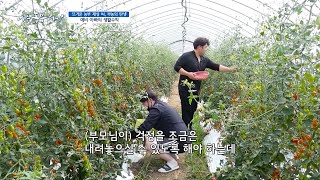 [206회_2부] 뜨거운 농부 재성 씨, 부농의 탄생