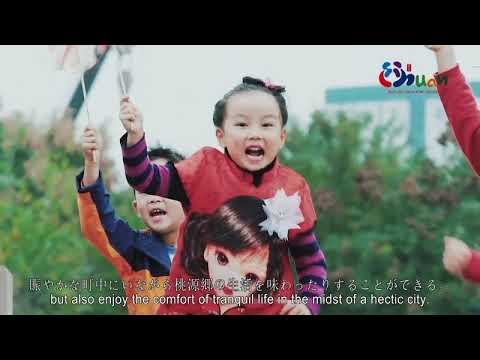 Distrito de Qingyang, cidade de Chengdu - versão japonesa
