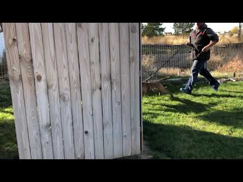 Nitrous start of search and escort at 6 months